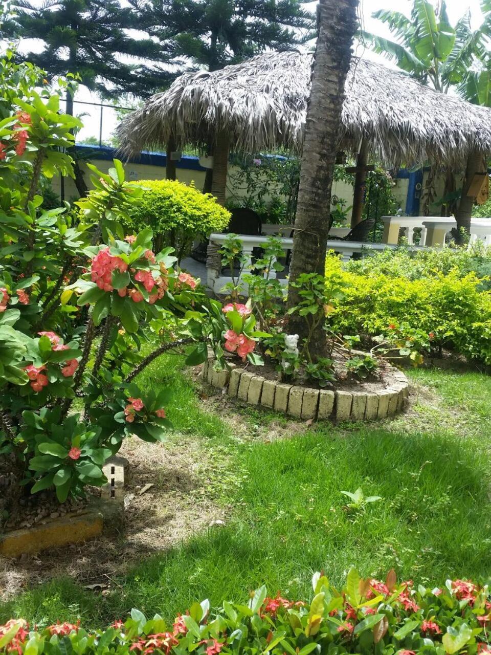 Sana El Jardin Secreto Hostel Santiago De Los Caballeros Ngoại thất bức ảnh