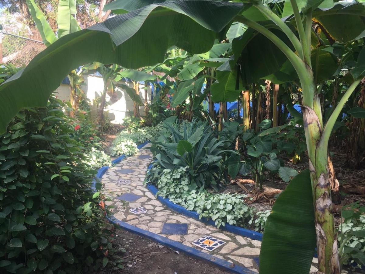 Sana El Jardin Secreto Hostel Santiago De Los Caballeros Ngoại thất bức ảnh